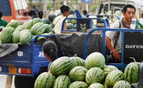 郑州商院吃瓜,校园生活趣味瞬间大揭秘