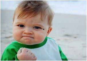 吃瓜白山,探寻东北美食的独特魅力