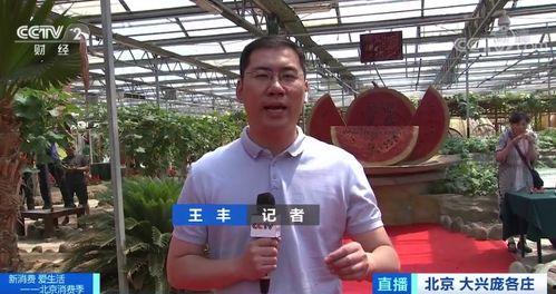 记者直播吃瓜,记者带你揭秘娱乐圈幕后故事