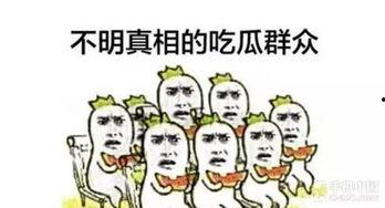 家乡吃瓜群众,揭秘民间热点背后的故事