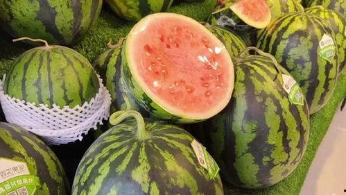 天天吃瓜公司,揭秘网络时代下的瓜界霸主