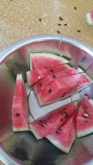 吃不动瓜,探寻消暑美食新风尚