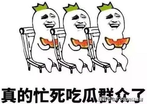 吃瓜不信瓜后一句,吃瓜不信瓜背后的真相解析