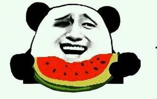 怎么画吃瓜视频