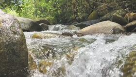 小溪儿吃瓜,揭秘娱乐圈那些不为人知的幕后故事