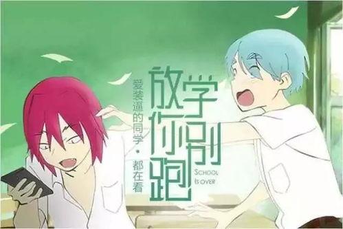 校园恋爱室友吃瓜小说,室友间的甜蜜恋爱大揭秘