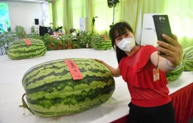 起点吃瓜,揭秘网络文学圈的那些事儿